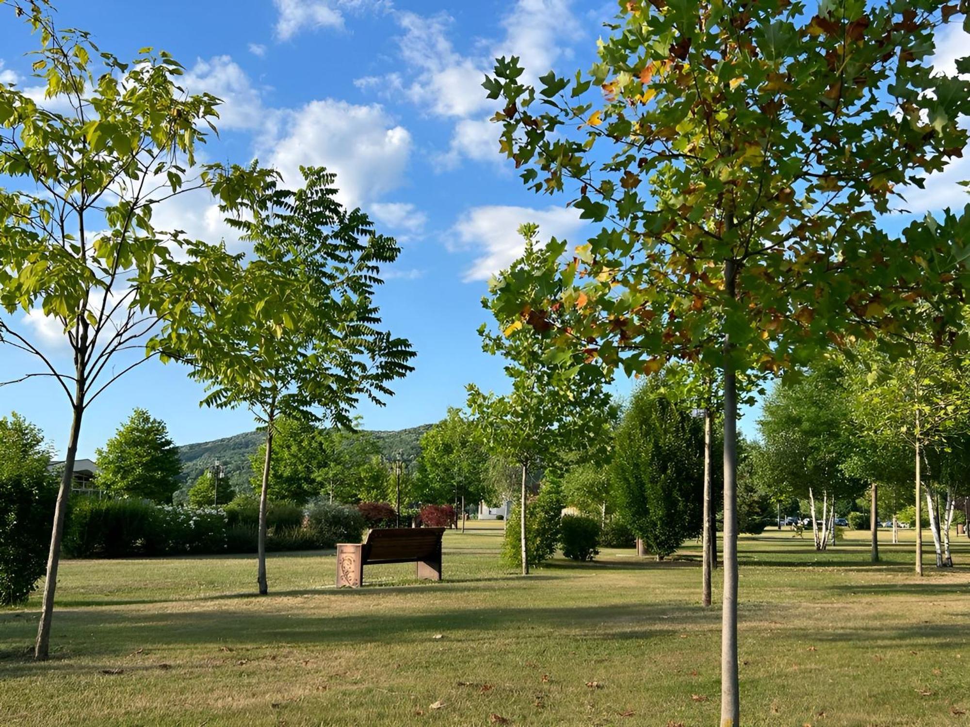 Vila Cu Mesteceni 坎皮纳 外观 照片